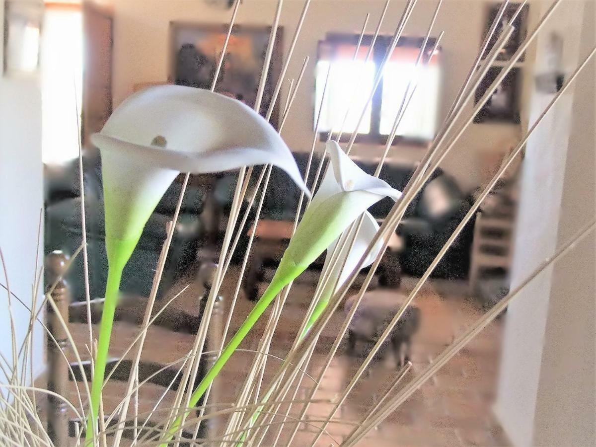 Villa Maria Yecla Εξωτερικό φωτογραφία